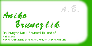 aniko brunczlik business card